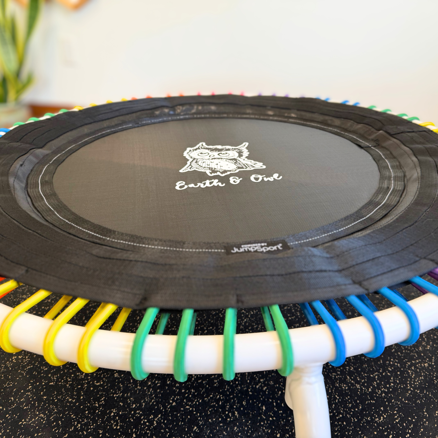 350Pro Earth & Owl JumpSport Fitness Trampoline 39 Inches
