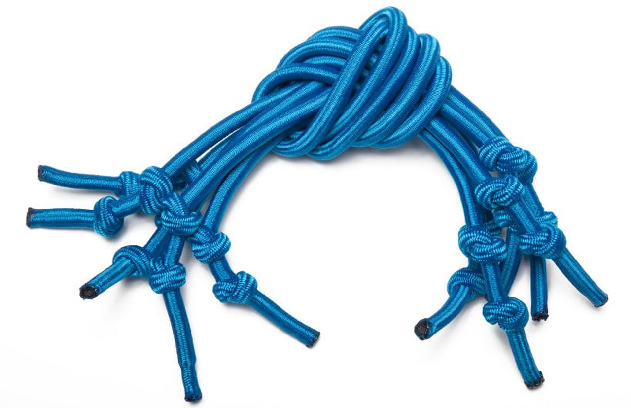 blue bungee cords